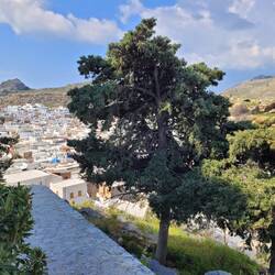 Blick zurück auf die Stadt