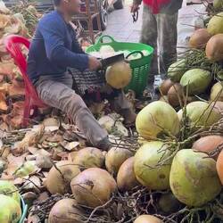 Qui veut un coconut ? 😛