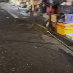 Sur le chemin du retour, Ratatouille se balade dans un marché local fermé 😅