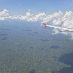 Flug über den Amazonasregenwald
