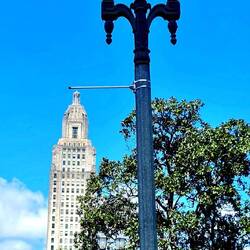 Echt von heute mit Baum als Verdecker des Gerüstes