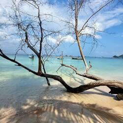 Saïri Beach à marée haute