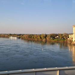 Tarascon
