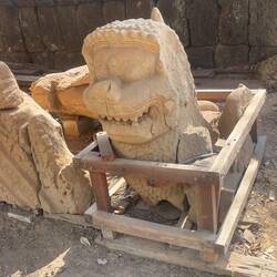 Not sure why he's in a cage