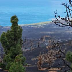 So kann man grob die Ausmaße des Lavafeldes ausmachen, welches teilweise bis 20m dick sein soll