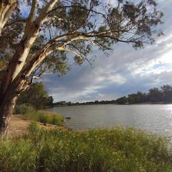 Murray River beim NRMA-Camping...