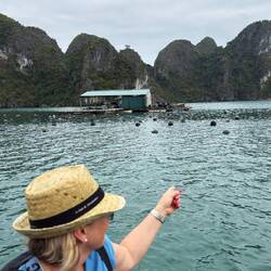Die Perlenfarm im Wasser
