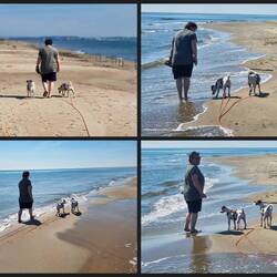 2 Stalker... Ganz ohne Leckerlis 🤣