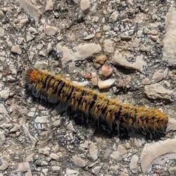 Na gut, nach unten schauen sollte man vielleicht doch.