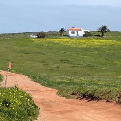 Irgendwann wird die Landschaft wieder schöner...