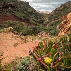 Zurück an der Küste😀