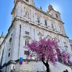 Mosteiro de São Vicente de Fora