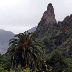El Rejo