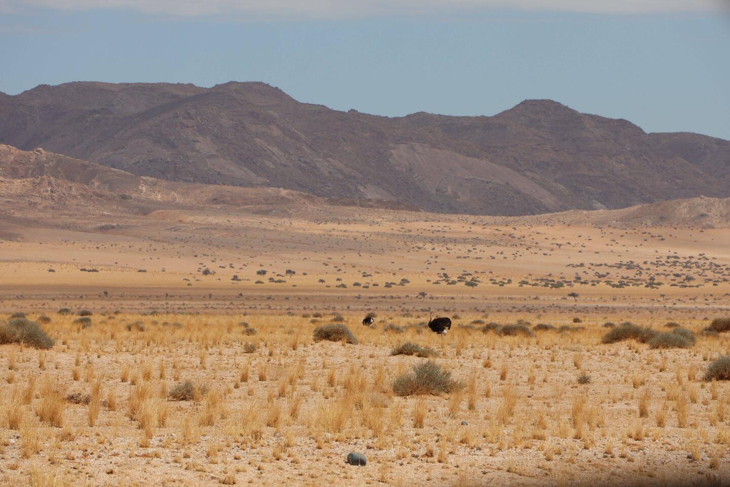 Steck den Kopf nicht in den Sand