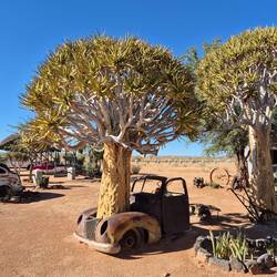 Wenn man wieder vergessen hat, wo man das Auto abgestellt hat