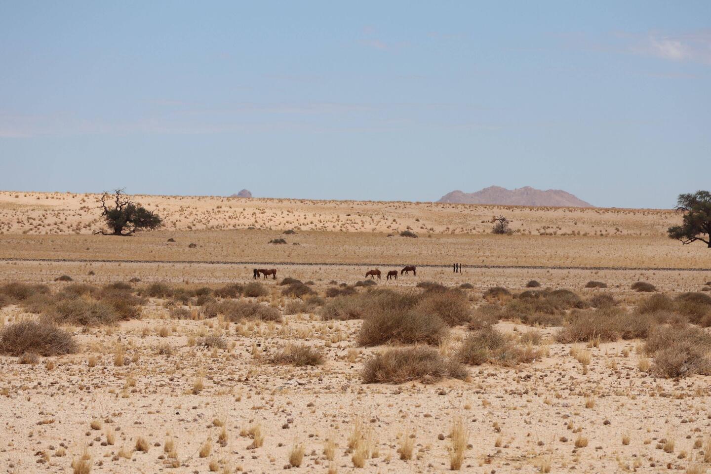 Gaaaanz da hinten....