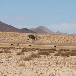 ... genau da. 🐎 🐎 🐎