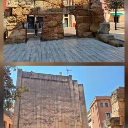 Provinzforum und Lokalforum