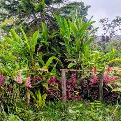 Blick vom Frühstückstisch