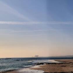 Natur trifft Industrie