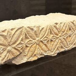 Architectural fragments, 6th to 8th century.