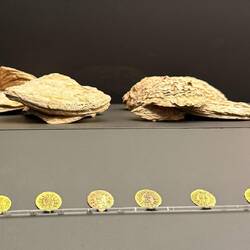 6th-c. Toledo under Visigoths: oysters, a coastal luxury, reached inland via Roman trade routes