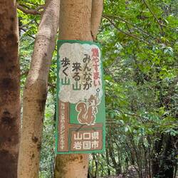 Hay mascotaa en todo tipo de carteles