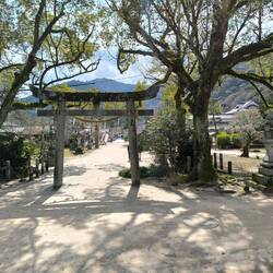 Desde el templo se ven los dos torii y en Medio El puesto de comida, arriba a derecha el funicular