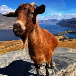 such a model 💅🏻