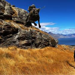 Der Felsen von dem der Warg angreift