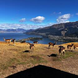 Oh, Hallo 🙋‍♀️