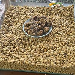 The eaten coffee beans are pooped and washed. (Poor people couldn't afford fresh picked beans)