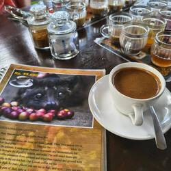 And the final product: a smooth taste of the world's most expensive coffee.