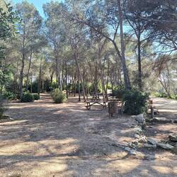 Parc ecohistòric del Pont del Diable (ein kleiner Teil davon)
