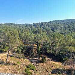 Blick von der Teufelsbrücke in den weitläufigen Park