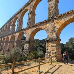 Man kann sich gar nicht satt sehen