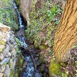 Caz leading to the mill