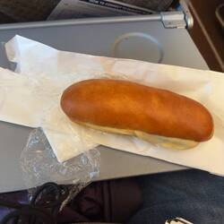 My cheese sandwich on SQ377.