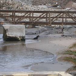 Robby hat im Hotel eingecheckt