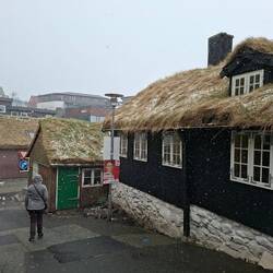 Temps très polaire : on passe de soleil venteux à tempête de neige en quelques instants !