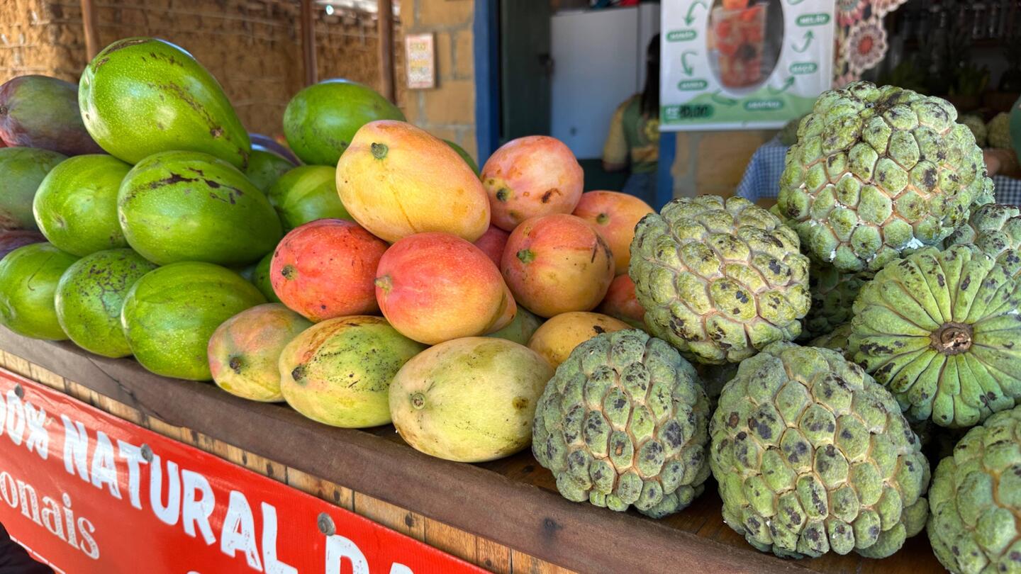 Avocado, Mango, Guanabana