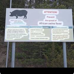 The translation is far from our imagination