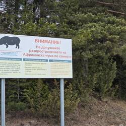 We thought this was a warning for wild boars in the area
