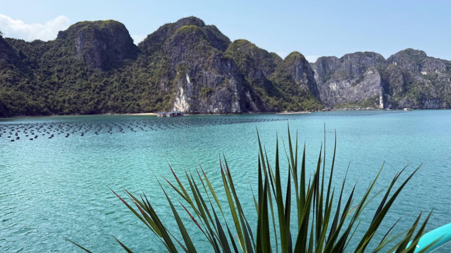 Im Meer schwimmt die Perlfarm