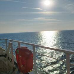 Guten Morgen Mittwochs-🌞