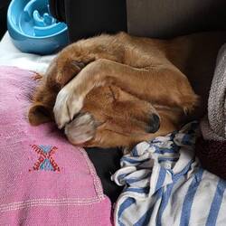 Oh noooo! It's so cold here!