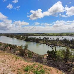 Murray River in Waikerie