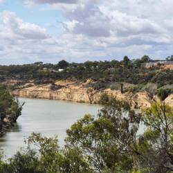 Murray River in Waikerie