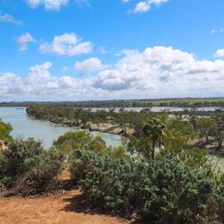 Murray River in Waikerie
