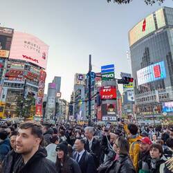 Die berühmte Shbuya Crossing
